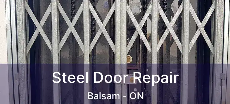  Steel Door Repair Balsam - ON