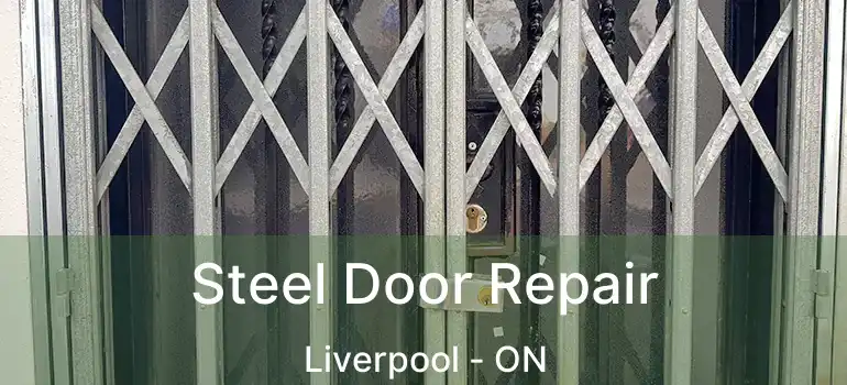  Steel Door Repair Liverpool - ON