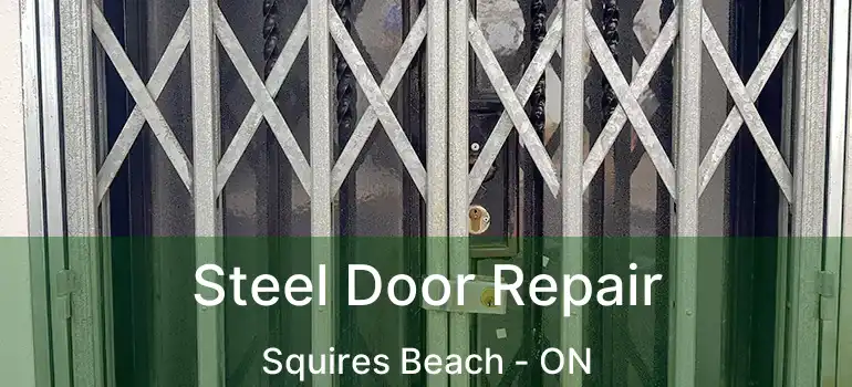  Steel Door Repair Squires Beach - ON