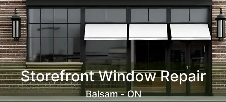  Storefront Window Repair Balsam - ON