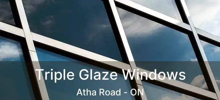  Triple Glaze Windows Atha Road - ON