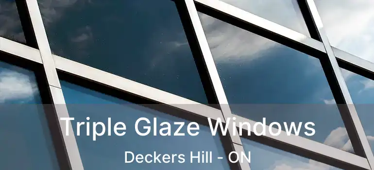  Triple Glaze Windows Deckers Hill - ON