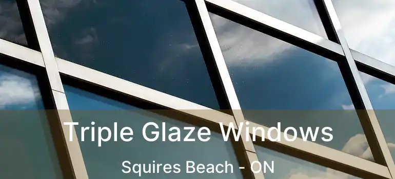  Triple Glaze Windows Squires Beach - ON