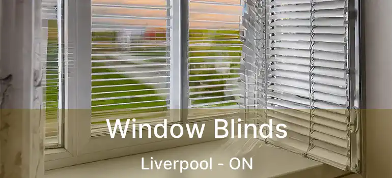  Window Blinds Liverpool - ON