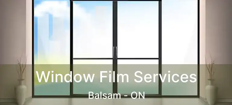  Window Film Services Balsam - ON