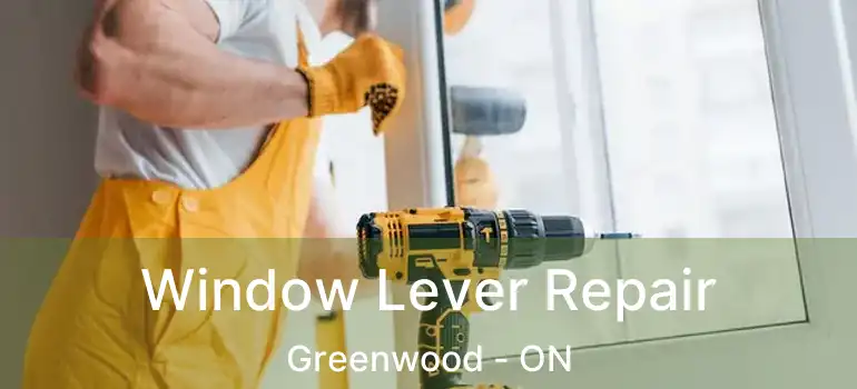  Window Lever Repair Greenwood - ON