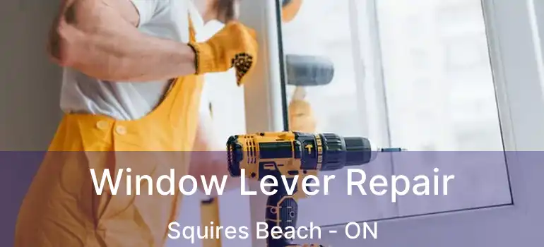 Window Lever Repair Squires Beach - ON
