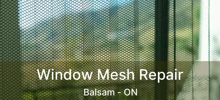  Window Mesh Repair Balsam - ON