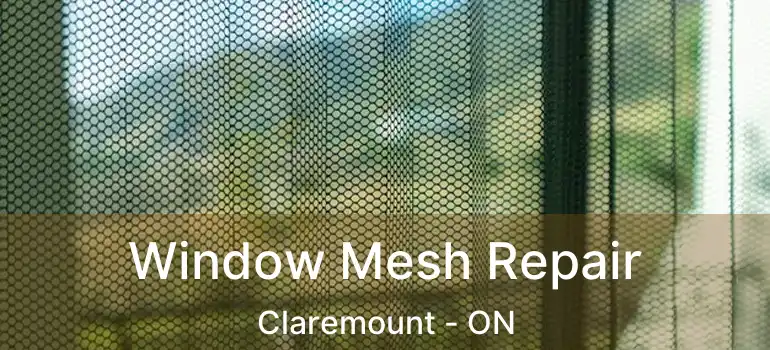  Window Mesh Repair Claremount - ON