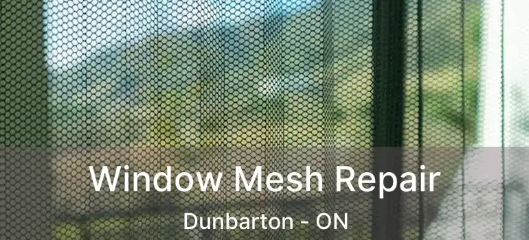  Window Mesh Repair Dunbarton - ON