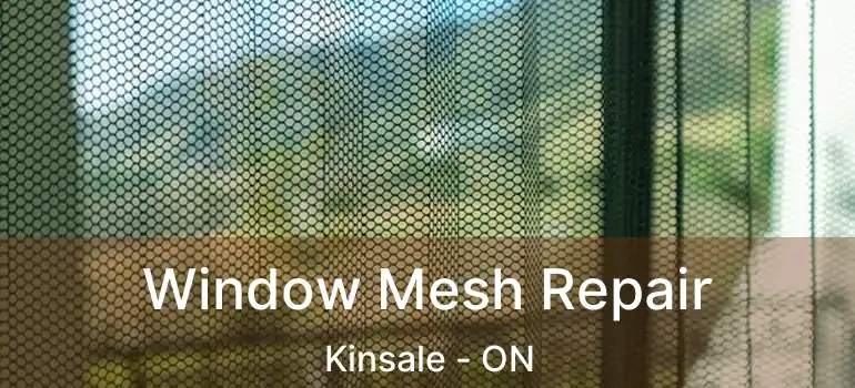  Window Mesh Repair Kinsale - ON