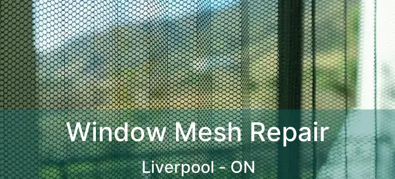  Window Mesh Repair Liverpool - ON