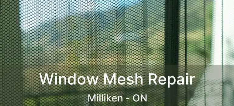  Window Mesh Repair Milliken - ON