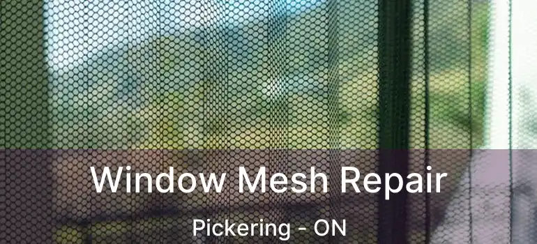  Window Mesh Repair Pickering - ON
