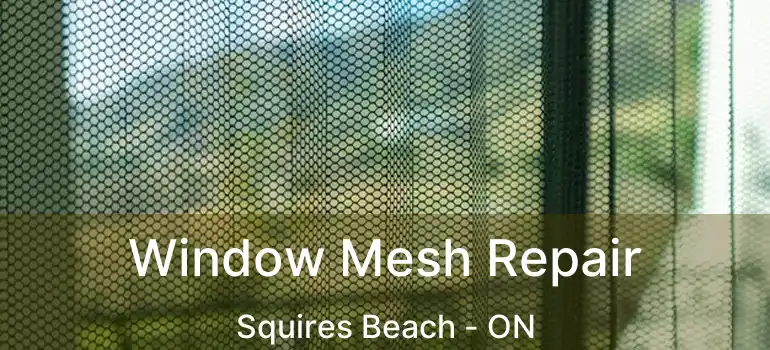  Window Mesh Repair Squires Beach - ON