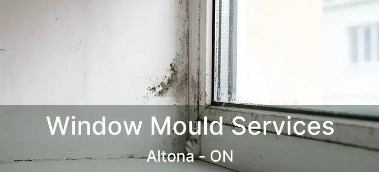  Window Mould Services Altona - ON
