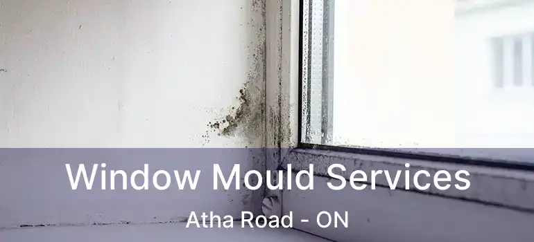  Window Mould Services Atha Road - ON