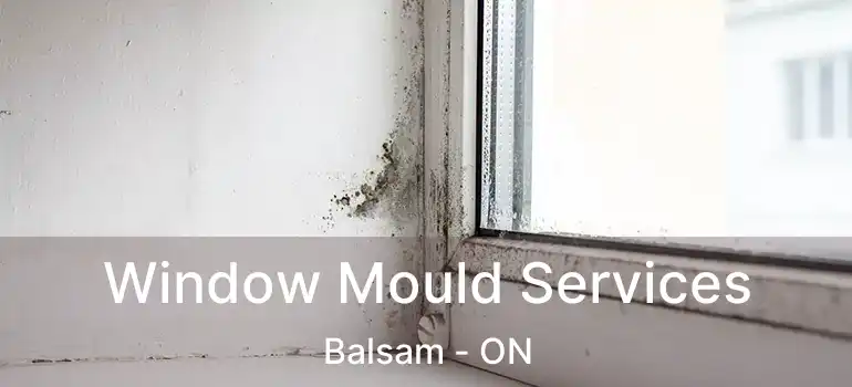  Window Mould Services Balsam - ON