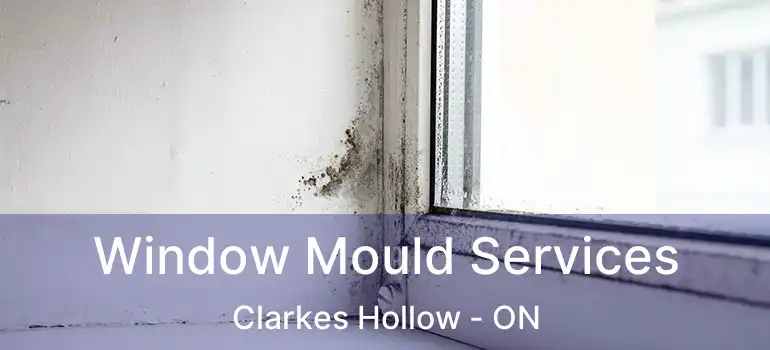  Window Mould Services Clarkes Hollow - ON
