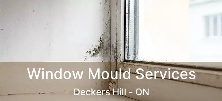  Window Mould Services Deckers Hill - ON