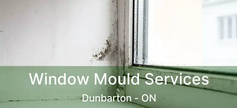  Window Mould Services Dunbarton - ON