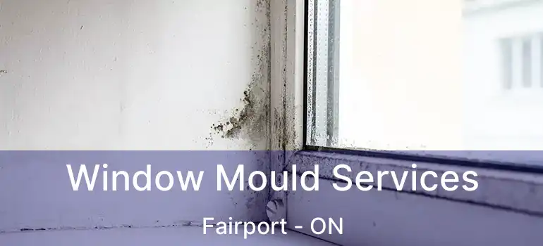  Window Mould Services Fairport - ON