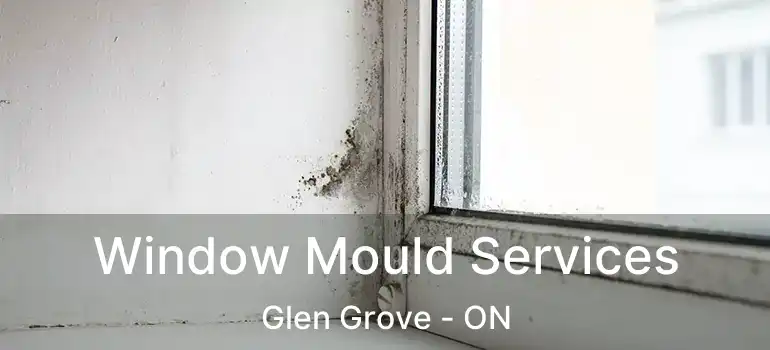  Window Mould Services Glen Grove - ON