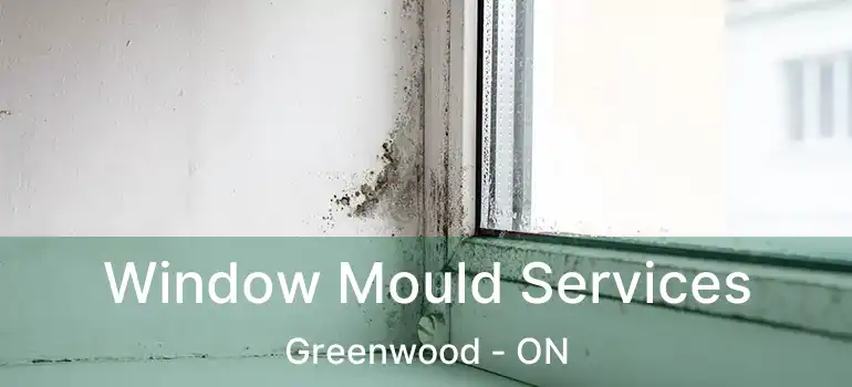  Window Mould Services Greenwood - ON
