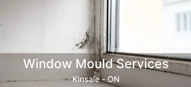  Window Mould Services Kinsale - ON