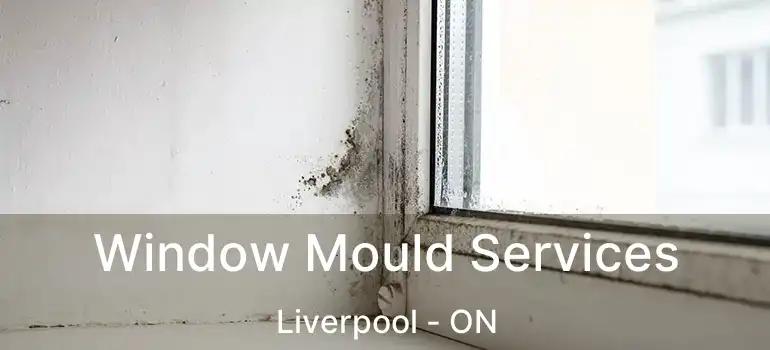  Window Mould Services Liverpool - ON