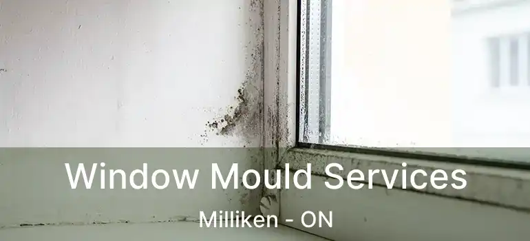  Window Mould Services Milliken - ON