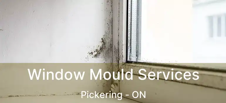  Window Mould Services Pickering - ON