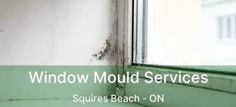  Window Mould Services Squires Beach - ON