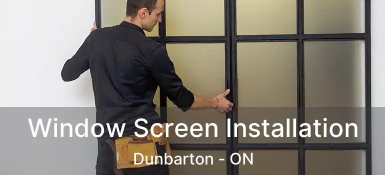  Window Screen Installation Dunbarton - ON