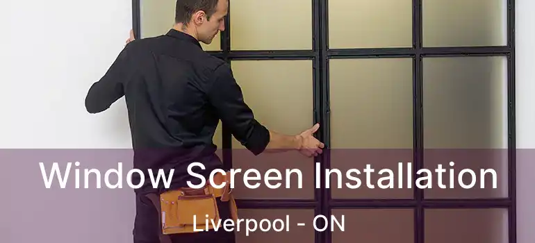  Window Screen Installation Liverpool - ON