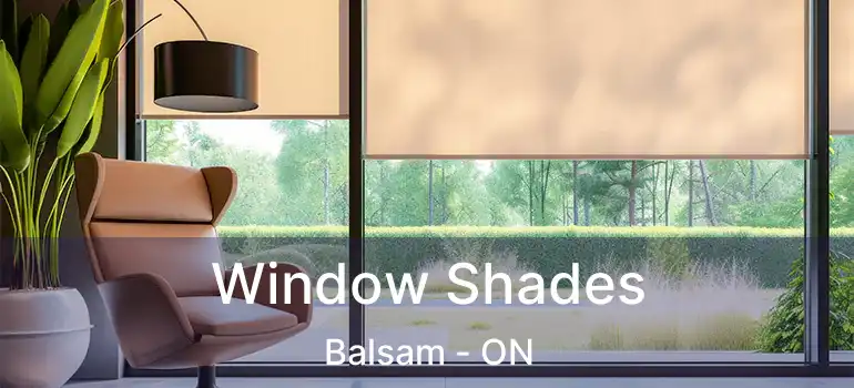  Window Shades Balsam - ON