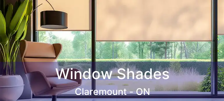  Window Shades Claremount - ON