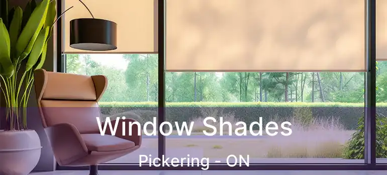  Window Shades Pickering - ON