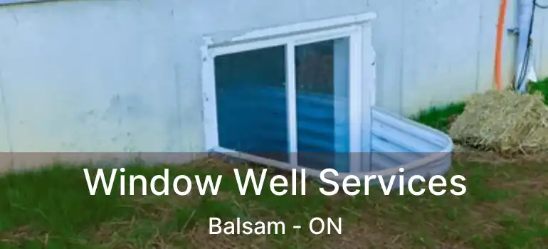  Window Well Services Balsam - ON