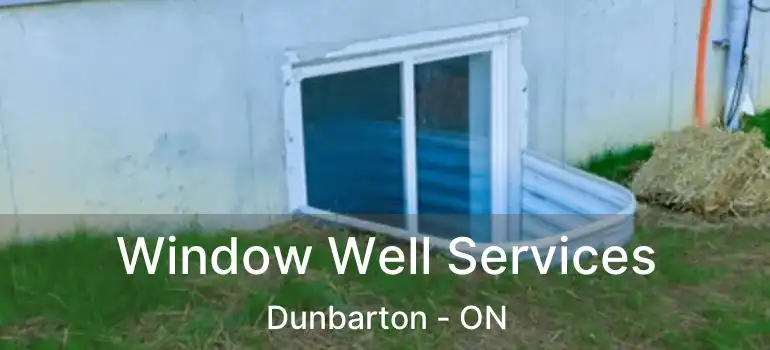  Window Well Services Dunbarton - ON
