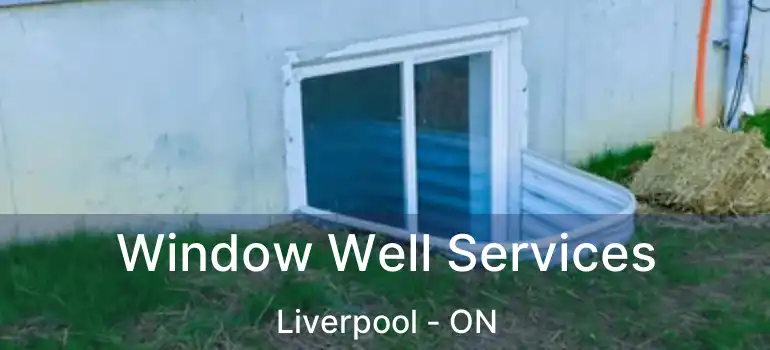  Window Well Services Liverpool - ON